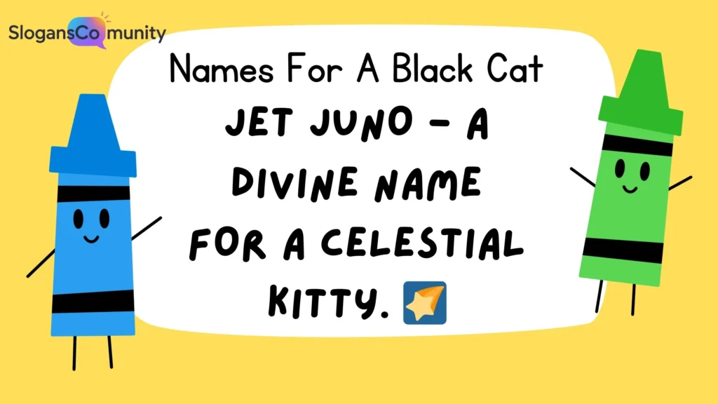Celestial Black Cat Names