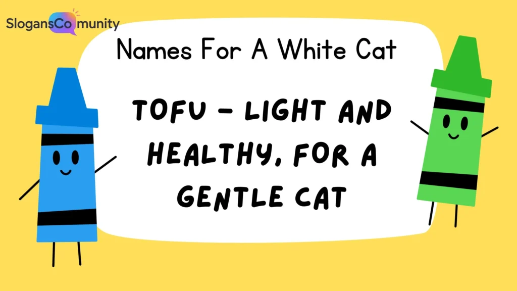 Food-Inspired White Cat Names