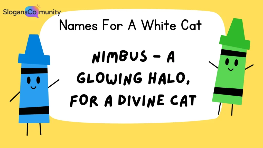 Mythical White Cat Names
