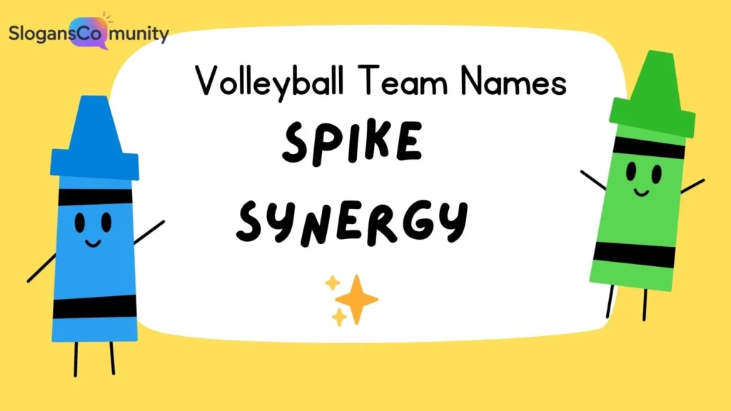 Unique Volleyball Team Names